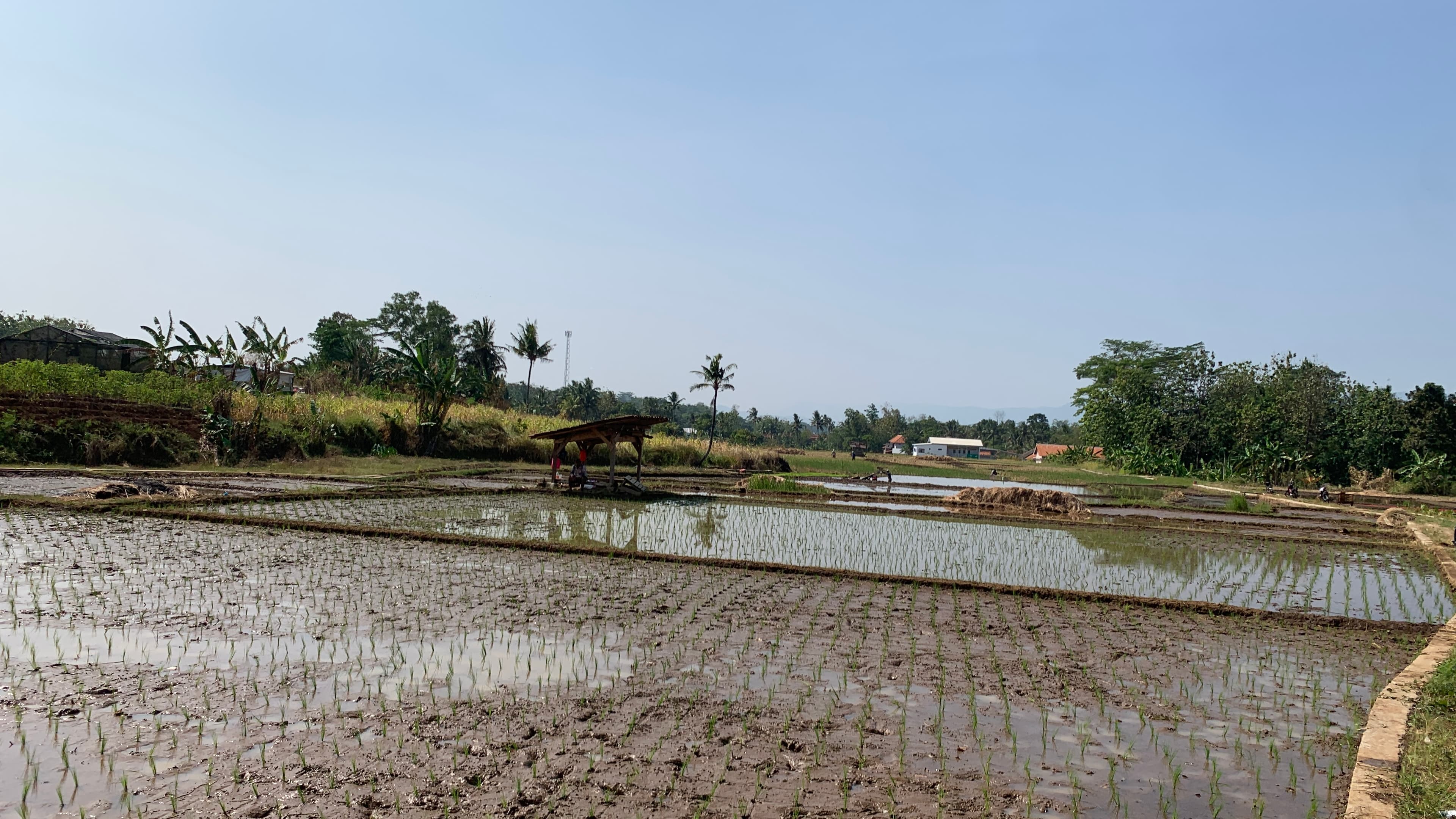 Pemandangan Desa Ciputat